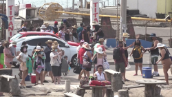 Alta demanda de paseos por la bahía