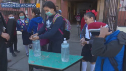 14 entidades están en la modalidad de clases presenciales