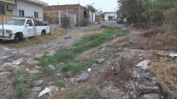 Calle Profesora Mariana Valdez intransitable