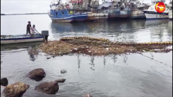 Retiran seis toneladas de basura de la biobarda en Mazatlán