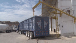 Exigen productores del CAP que PROFECO supervise las básculas de los bodegueros