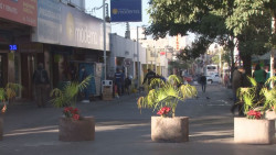 Va de nuevo: vigilar camiones y centro de la ciudad para evitar contagios Covid