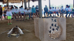 Tendrán combustible y herramientas para seguir cuidando las tortugas golfinas....