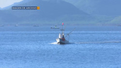 Reciclarán artes de pesca para cuidar los mares