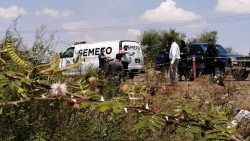 Encuentran a una persona asesina a a golpes