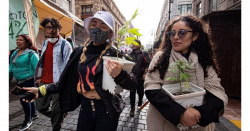 Suprema Corte de Justicia tumba la prohibición de marihuana recreativa en México