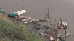 Flota basura de la presa derivadora
