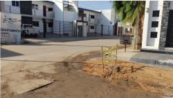 Arreglan fuga de agua limpia y termina el desperdicio...y la inundación