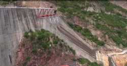 En quince días pudiera haber alimento para el ganado tras las últimas lluvias