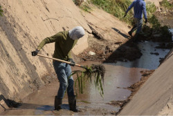 Limpios los arroyos....y la basura pegada en los muros