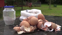 Cascarones para salvar los cuerpos de agua de Mazatlán