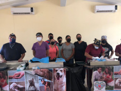 Seguirán las campañas de esterilización  de animales