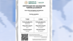 Ya se podrá tramitar certificado de vacunación contra el Covid