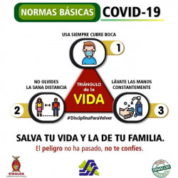 COEPRISS exhorta  a mantener el “Triángulo de la Vida”