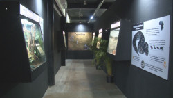 Desde Puebla hasta Sinaloa, llega el museo viviente de los reptiles más venenosos del mundo
