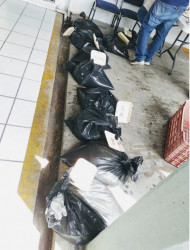Más de 300 kilos de pulpo decomisa la CONAPESCA