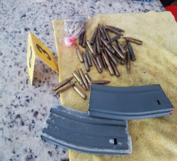 Decomisan armas en un inmueble ubicado en la colonia Los Tulipanes