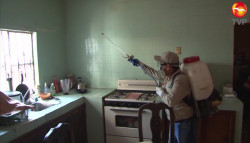 Sin casos de Zika y Chicungunya, la zona sur de Sinaloa: Jurisdicción Sanitaria 5