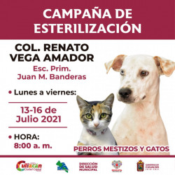 Se extiende campaña de esterilización