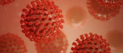 Cepa Delta más contagiosa
