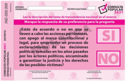 Se imprimieron 93.5 millones de papeletas para la consulta popular
