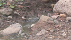 Se tapa alcantarilla y se colapsa el sistema de drenaje
