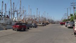 Es mínimo el mantenimiento a barcos camaroneros