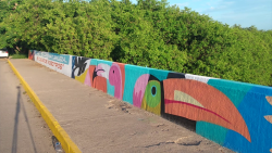 Mejoran imagen urbana con grafiti