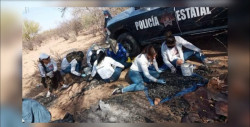 Un duro golpe a colectivos de búsqueda de desaparecidos en Sonora, asesinato de Gladys Aranza