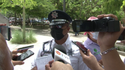Tránsito Municipal enfocado en revisiones