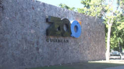 Permanecerá abierto el Zoo de Culiacán durante vacaciones