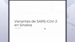 Cepa Delta desde Mayo disparó los contagios en Sinaloa