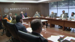 Acuerdan apoyos para el campo Sinaloense