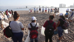 Realizan campaña ‘Playas Limpias Sinaloa’ en Isla Venados