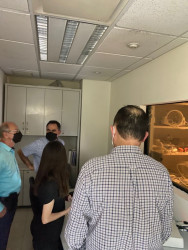 Podría tener la UAS una sala de Hemodinamia
