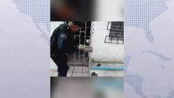 Policías de Culiacán atienden llamado urgente de menor quemada