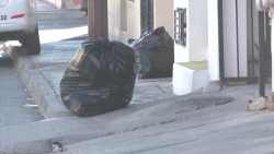 Recolectan 50 toneladas menos de basura en Mazatlán