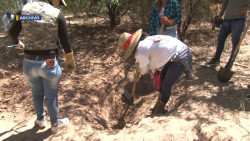 Transmitiré hasta la última dentadura mientras que Dios me lo permita: Líder de Madres Buscadoras de Sonora