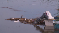 Abunda la basura en el Estero del Infiernillo