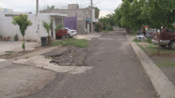 A los baches...ya les salieron plantitas