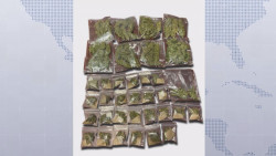 Dos jóvenes menores de edad traían dosis de presunta mariguana