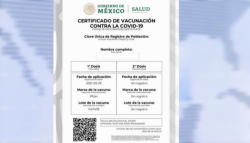 Mazatlecos a favor de la solicitud de certificado de vacunación en espacios públicos