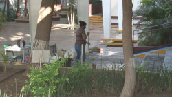 Por si si...por si no....se preparan para regreso a clases