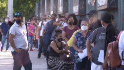 Aseguran jóvenes que es fácil falsificar certificado de vacunación