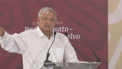 Está en franca decadencia la siembra de Marihuana y Amapola: AMLO