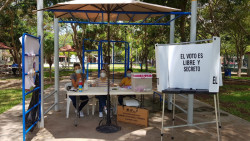 INE lamenta baja participación en la consulta ciudadana