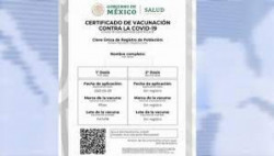 En desacuerdo COPARMEX  en que se pida el certificado de vacunación