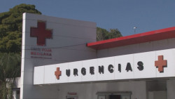 En lo que va del año Cruz Roja Culiacán ha realizado 320 traslados covid
