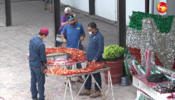 Adornos patrios llegan al Ayuntamiento de Mazatlán