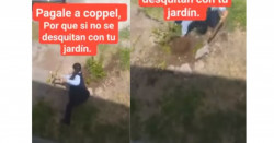 Le apodan #LadyCoppel por destruir un arbolito: dicen que fue a cobrar y no le quisieron abonar (video viral)